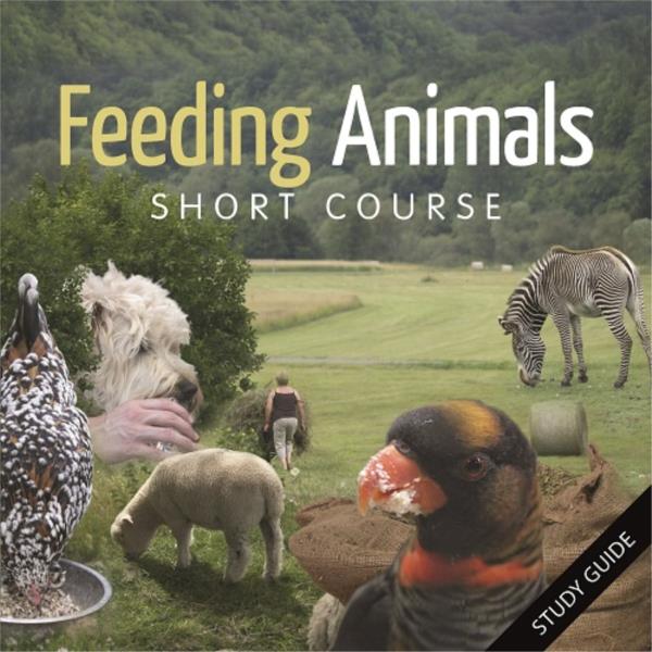 feeding-animals-online-courses-pets-livestock