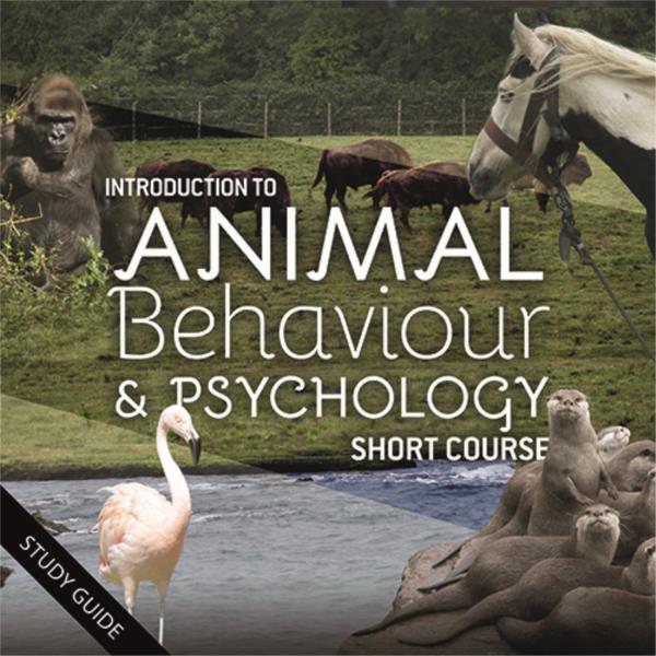 Animal Behaviour and Psychology- Short Course