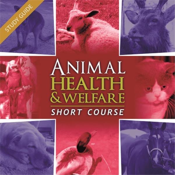 Animal Health and Welfare - Short Course