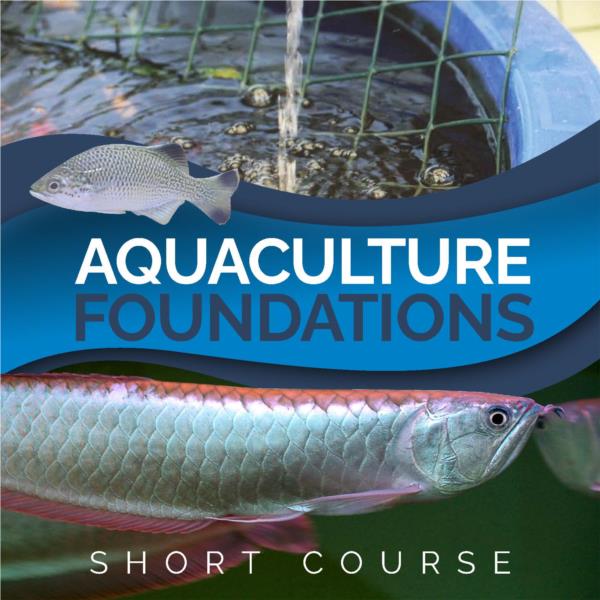 Aquaculture Foundations - Short Course