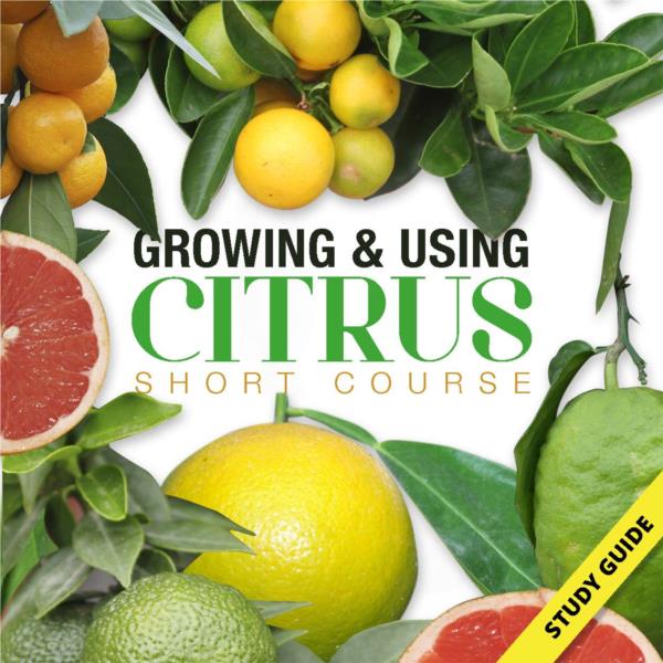Growing and Using Citrus- Short Course