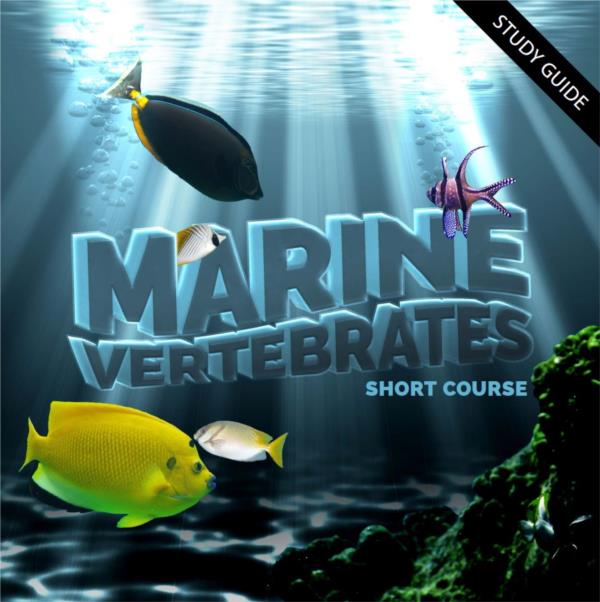 Marine Vertebrates- Short Course