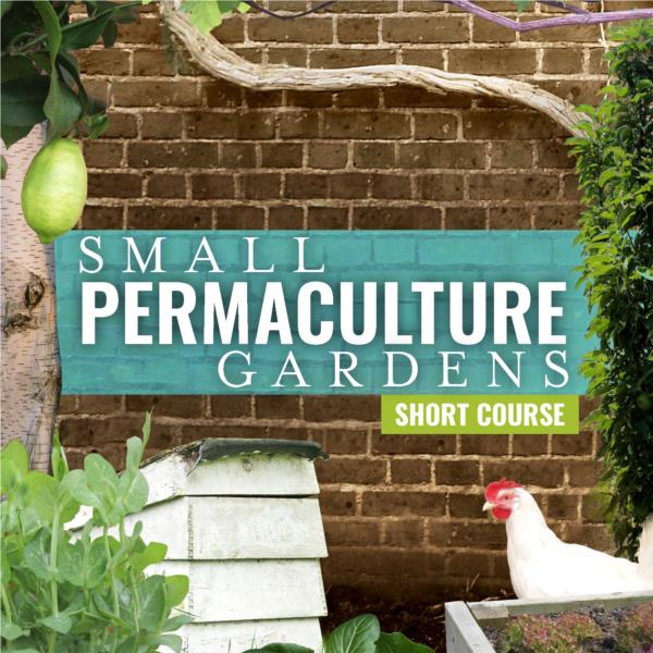 Small Permaculture Gardens - Short Course